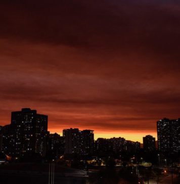 Conaf acusa que incendios forestales son causados por negligencia de empresas eléctricas