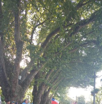 Entrevista: «El relleno sanitario va a contaminar las aguas» y «va a arruinar la agricultura y nuestro estilo de vida»