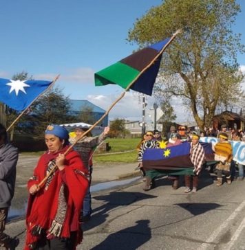 Entrevista: Chiloé libre de saqueo energético: ¿polo de desarrollo o zona de sacrificio?