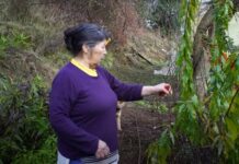 Curso de investigación por desaparición de Julia Chuñil dependerá de Corte Suprema