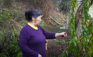 Corte Suprema denega amparo a familia de Julia Chuñil y organizaciones denuncian a ministros firmantes