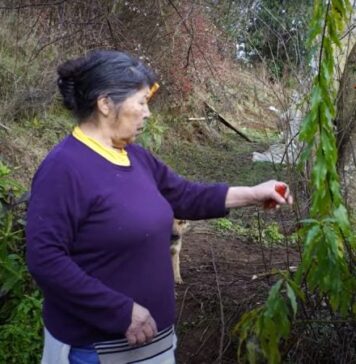 Corte Suprema denega amparo a familia de Julia Chuñil y organizaciones denuncian a ministros firmantes