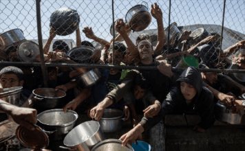 Palestina: Exigen investigar matanzas en repartos de comida