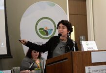 Activista de Penco: «Kast vino a burlarse»