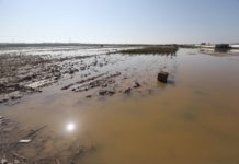 Palestina | Israel continúa inundando tierras de cultivo de Gaza