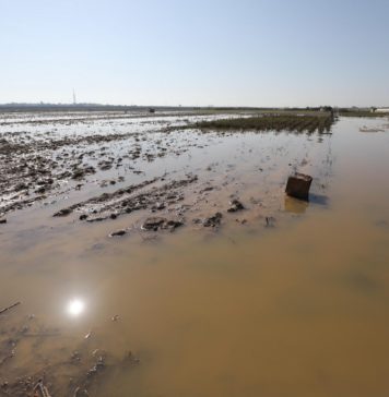 Palestina | Israel continúa inundando tierras de cultivo de Gaza