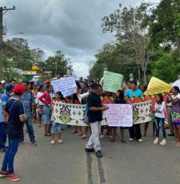 Panamá: Mujeres Indígenas protestas ante la tala de árboles (Audio)
