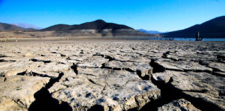 La peor sequía en 60 años: Los acuíferos están secos o en su mínima capacidad