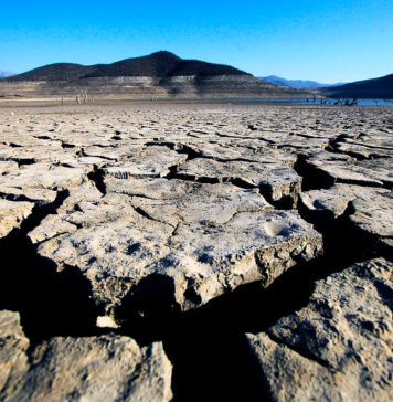 La peor sequía en 60 años: Los acuíferos están secos o en su mínima capacidad