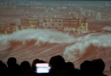 Científicos apuestan por nueva ley para proteger ecosistemas costeros y disminuir el riesgo de desastre en la costa