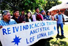 Declaraciones del Lof Kona Rupu Mapu por acción reivindicatoria dirigida a Diócesis de Villarrica