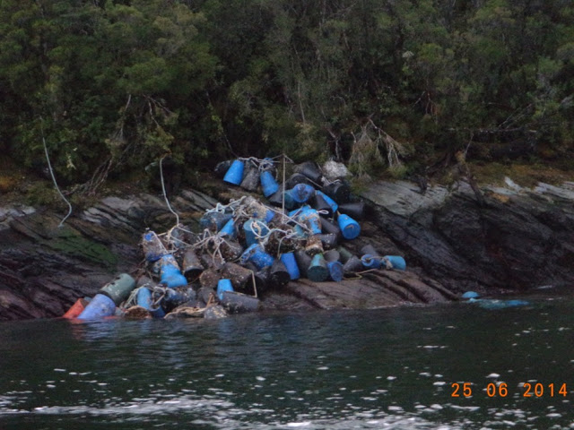 Crisis del mar: De pescadores libres a recolectores de basura salmonera