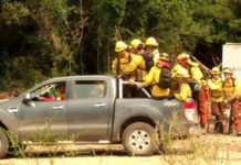 Brigadistas de CONAF agradecen ayuda enviada por comunidad de Nonguén para combatir incendios en el Gran Concepción
