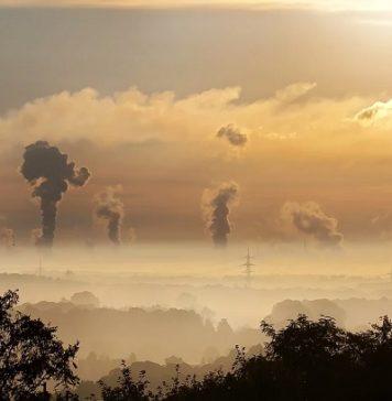 Perú | Territorios indígenas pierden menos carbono por degradación forestal