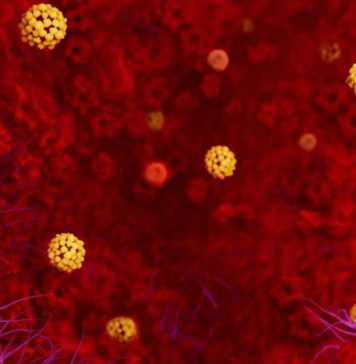 China | Epidemia de Coronavirus provoca cancelación de exportaciones de salmón de Chile