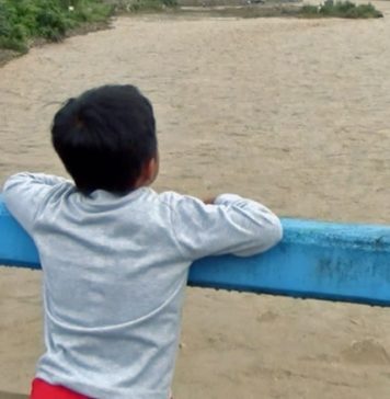 Lanzan serie de investigaciones en periodismo ambiental