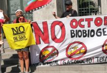 Organizaciones socioambientales presentan reclamaciones contra GNL Penco-Lirquén