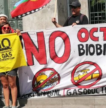 Organizaciones socioambientales presentan reclamaciones contra GNL Penco-Lirquén