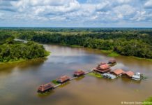 Brasil | Bolsonaro propone proyecto de ley para explotar reservas indígenas