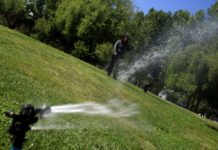 Providencia y sus medidas contra la sequía: Municipio multará a quienes rieguen las veredas