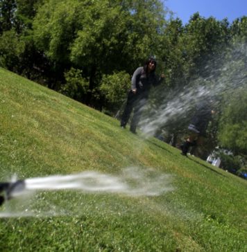 Providencia y sus medidas contra la sequía: Municipio multará a quienes rieguen las veredas