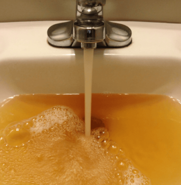 Crisis en Quintay: Agua contaminada