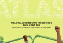 Argentina | Publican Atlas del Agronegocio Transgénico en el Cono Sur