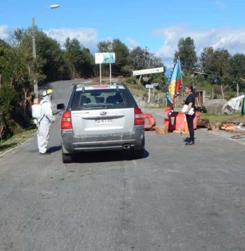 El control territorial de las comunidades mapuche del Lago Maihue para defenderse del COVID-19