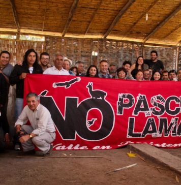 Rechazan lavado de imagen de Barrick al donar hospital de campaña en Huasco