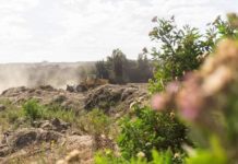 Comunicado | CAC de Arica denuncia intervención de Santuario de la Naturaleza Humedal del Río Lluta