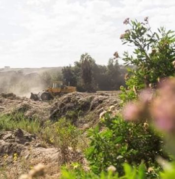 Comunicado | CAC de Arica denuncia intervención de Santuario de la Naturaleza Humedal del Río Lluta