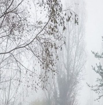 Empresa que destruye humedal en Laja tiene antecedentes de irregularidades y falsificación de documentos