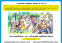 OLCA libera un instructivo para proteger bosque nativo ante arremetida de agroindustria