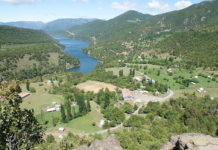 Alto Bio Bio: Interponen recurso contra Ministerio de Energía por eludir consulta indígena en zona crítica por pandemia