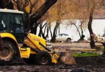 Denuncian destrucción de humedales en Lago Villarrica