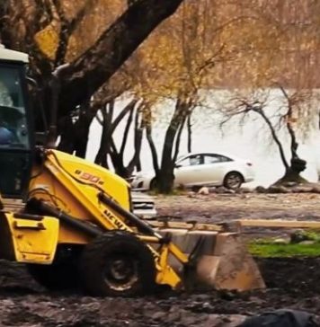 Denuncian destrucción de humedales en Lago Villarrica