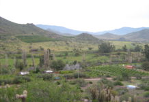 Declaración Pública: Consejo Regional Campesino, Coquimbo 2020