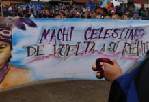 A pura dignidad. Veintisiete presos mapuche en huelga de hambre