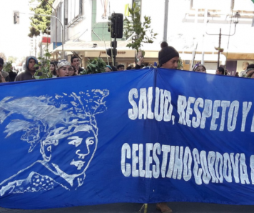 Colmed denuncia agresión y abuso sexual a médica de confianza de machi Celestino Córdova en La Araucanía Foto: Werken.cl