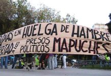 115 días sin comer y tres en huelga seca. Comuneros de Angol se encuentran en un estado límite de salud y denuncian desconocimiento de acuerdos por parte del Gobierno