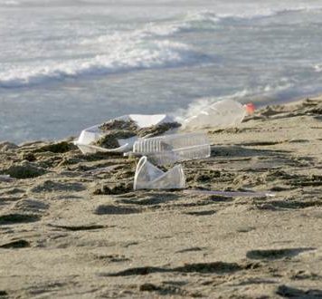 Celebran aprobación unánime en el Senado de ley que regula plásticos de un solo uso y botellas desechables