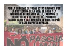 Las 14 razones por las que el Tribunal Ambiental y el Estado de Chile no pueden permitir la continuidad de Pascua Lama