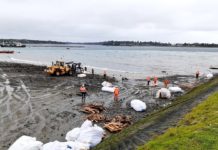 Comunicado: El estado es negligente ante hundimiento de muelle de carga Cabo Foward