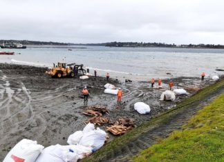 Comunicado: El estado es negligente ante hundimiento de muelle de carga Cabo Foward