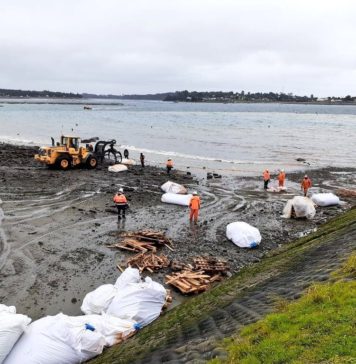 Comunicado: El estado es negligente ante hundimiento de muelle de carga Cabo Foward
