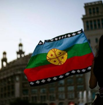 La huelga mapuche no ha terminado: 26 comuneros continúan movilizados a la espera de una respuesta del Gobierno