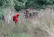 Carabineros que desnudaron a niños mapuche en Ercilla siguen en funciones