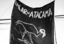 Declaración por el Salar de Atacama y los Humedales Altoandinos de Chile frente al Avance del Extractivismo Minero