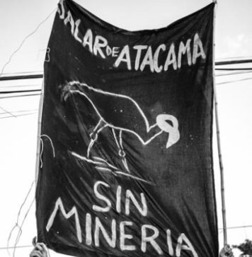 Declaración por el Salar de Atacama y los Humedales Altoandinos de Chile frente al Avance del Extractivismo Minero