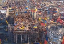 El factor forestal en la comuna de Arauco: la más afectada por Covid en toda la provincia